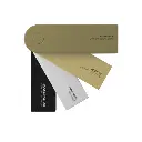 Leopard 1 Colours.webp
